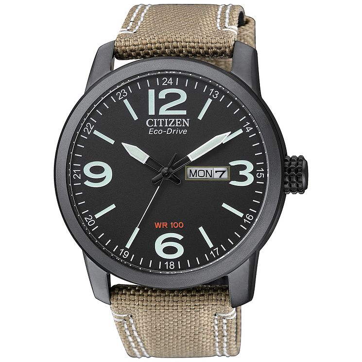Citizen Eco-drive Mens Black Ion Plated Strap Watch