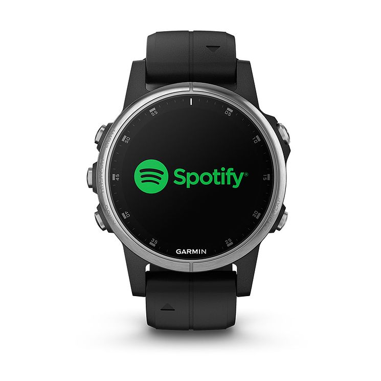 Garmin Fenix 5 Plus Multisport Gps Black Strap Smartwatch